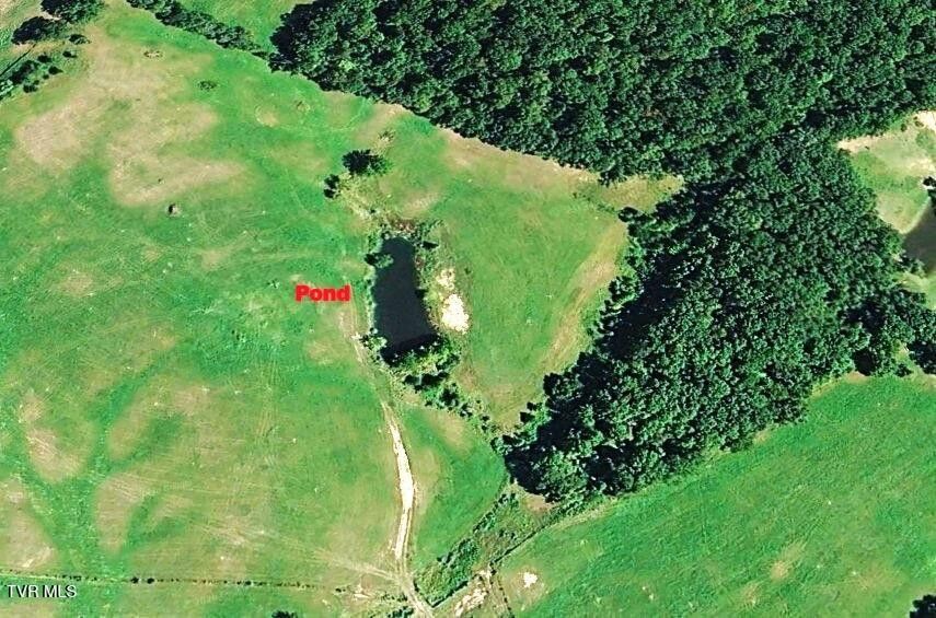 Photo #8: Tbd Brake Tree Lane