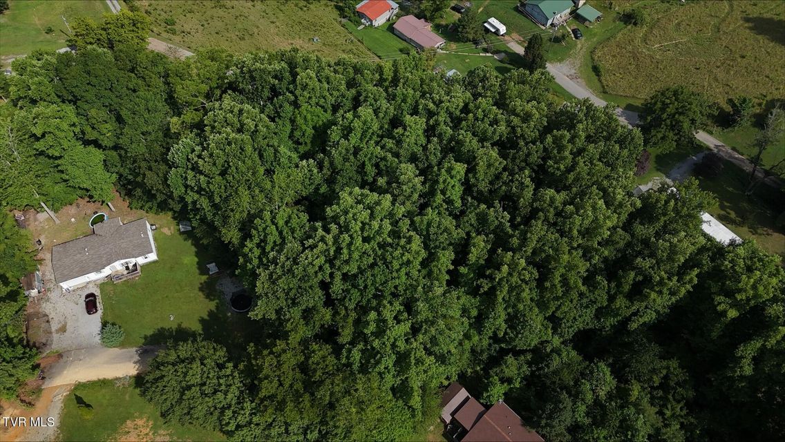 Photo #14: Tr 4 Crystal Lane