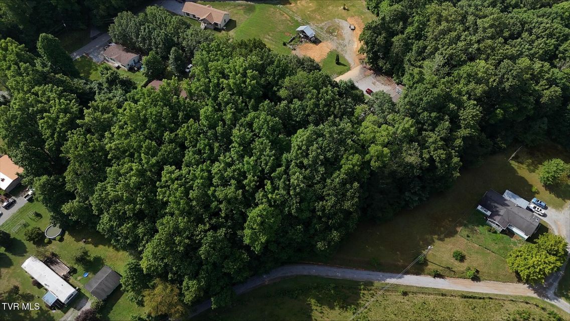 Photo #15: Tr 4 Crystal Lane