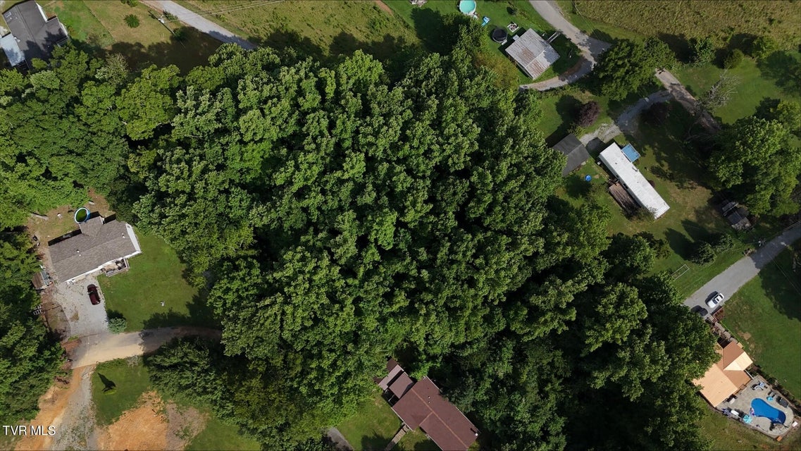 Photo #16: Tr 4 Crystal Lane