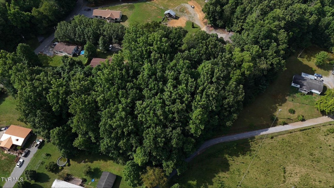 Photo #17: Tr 4 Crystal Lane