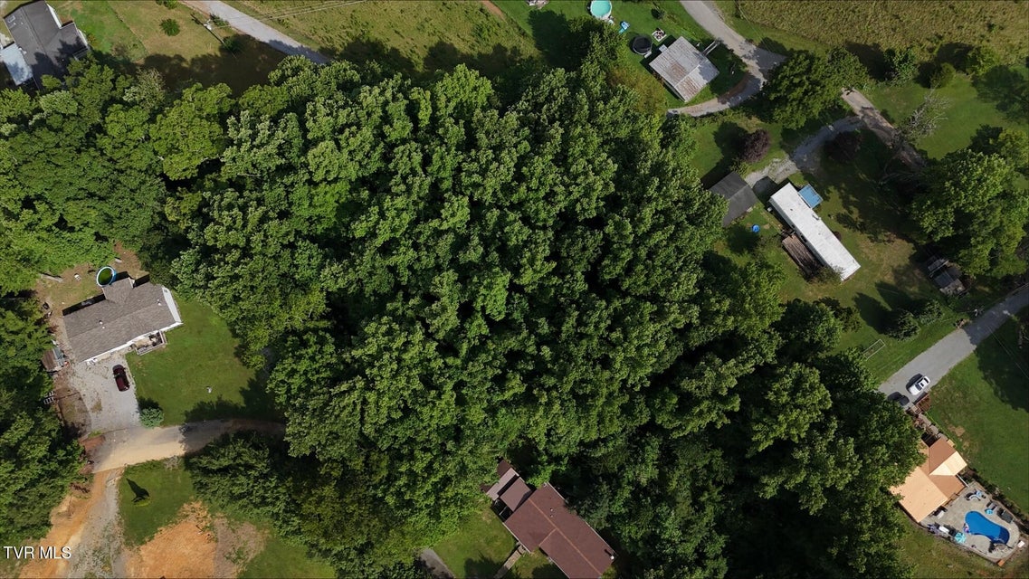 Photo #18: Tr 4 Crystal Lane