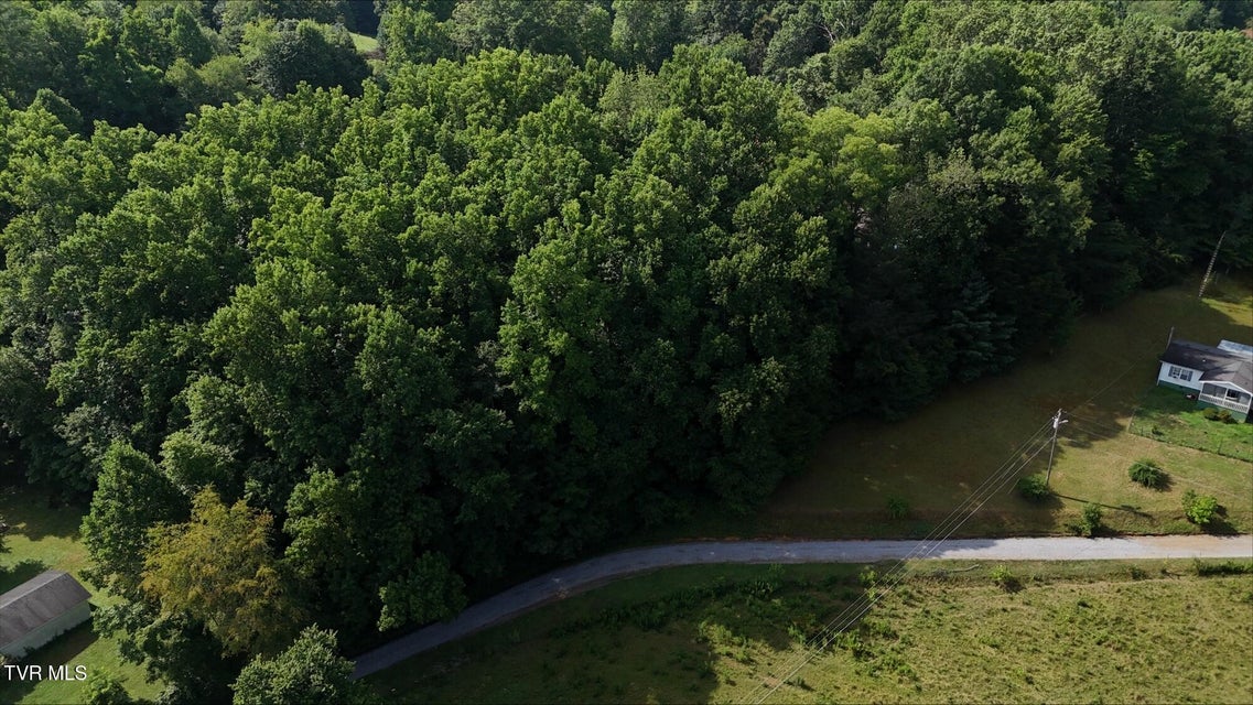 Photo #19: Tr 4 Crystal Lane