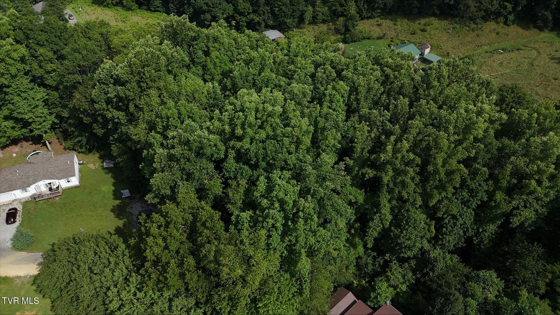 Photo #21: Tr 4 Crystal Lane