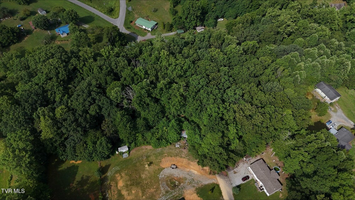 Photo #6: Tr 7 Crystal Lane