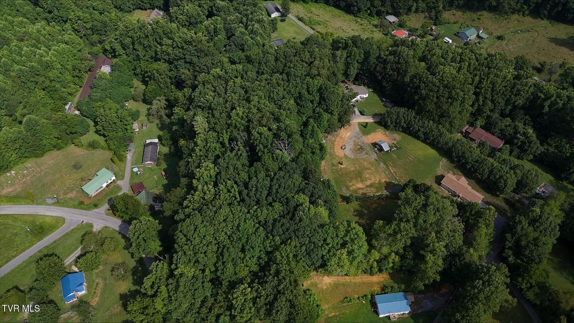 Photo #8: Tr 7 Crystal Lane