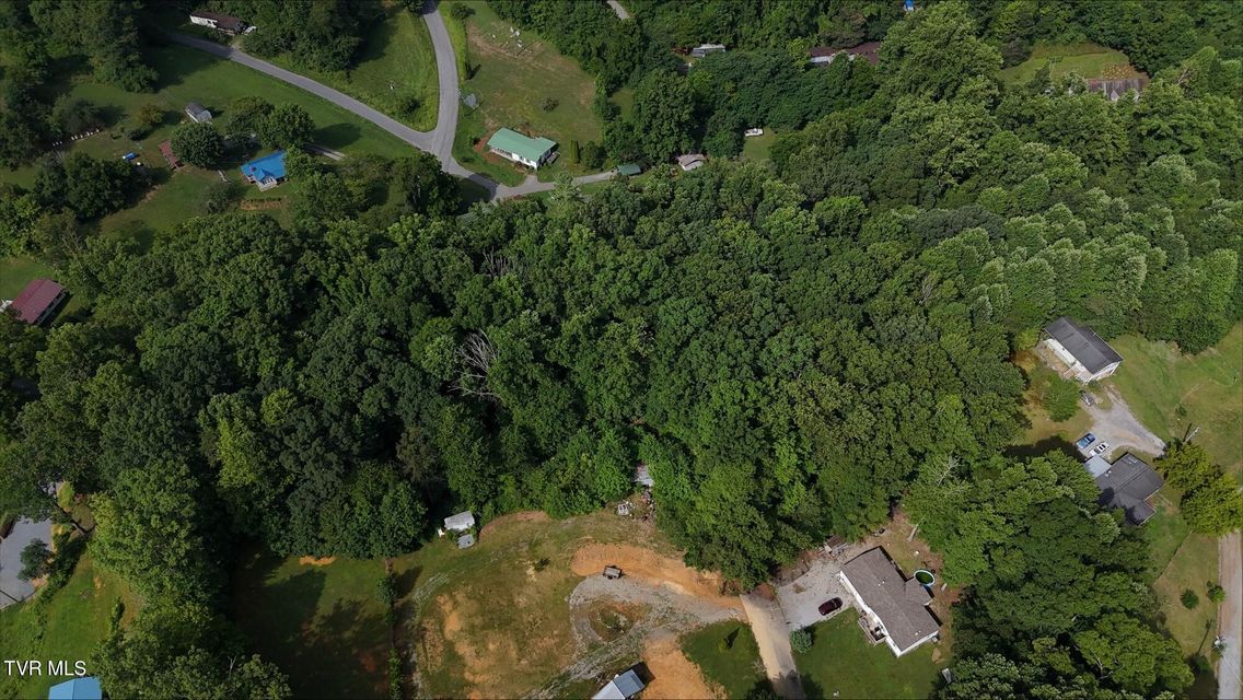 Photo #9: Tr 7 Crystal Lane