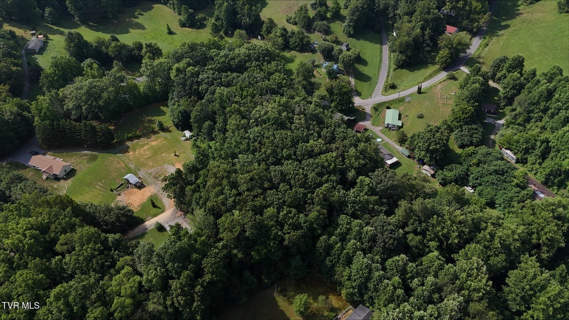 Photo #11: Tr 7 Crystal Lane