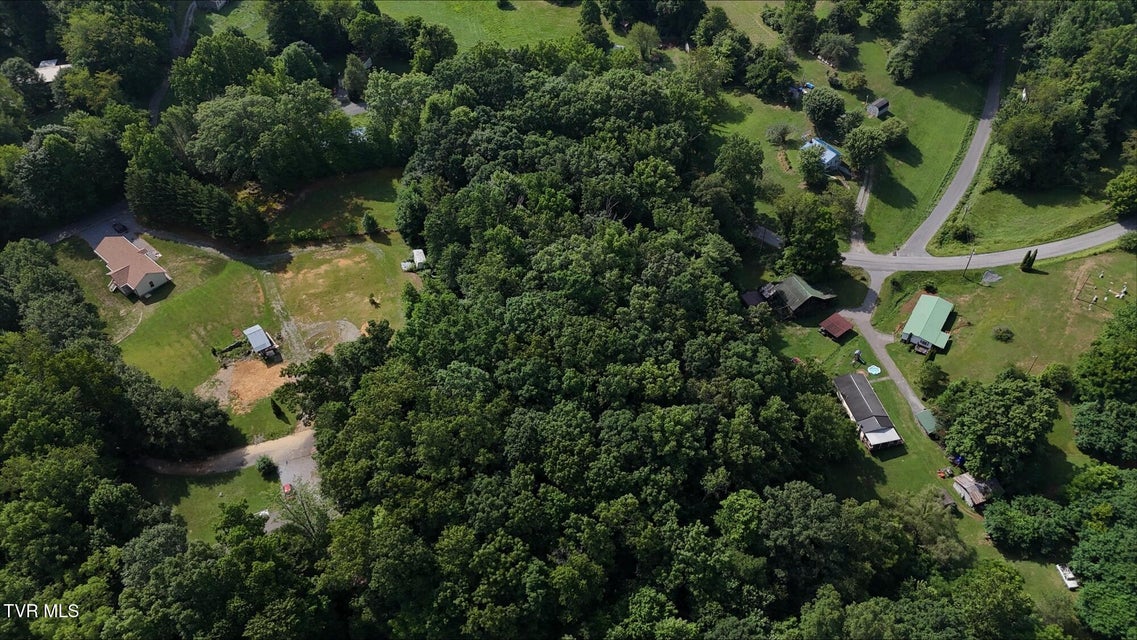 Photo #13: Tr 7 Crystal Lane