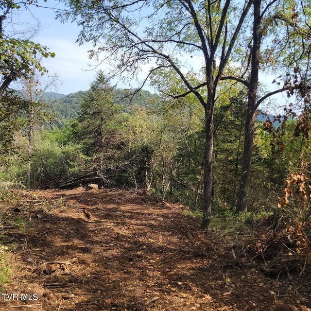 Photo #4: 0 Copper Creek Road