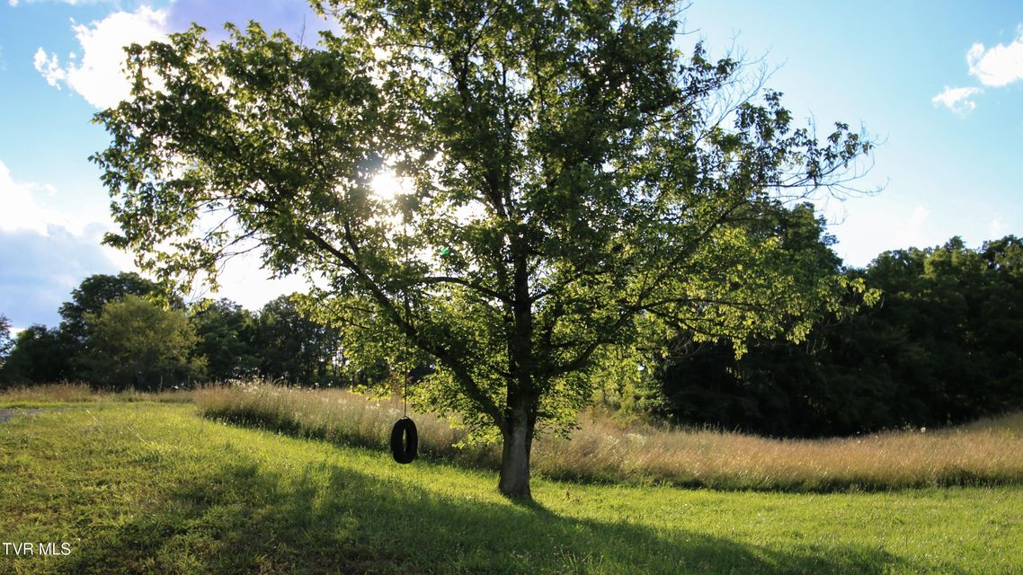 Photo #87: 1399 Highway 75 