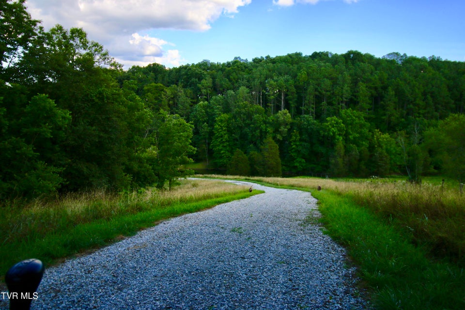 Photo #88: 1399 Highway 75 