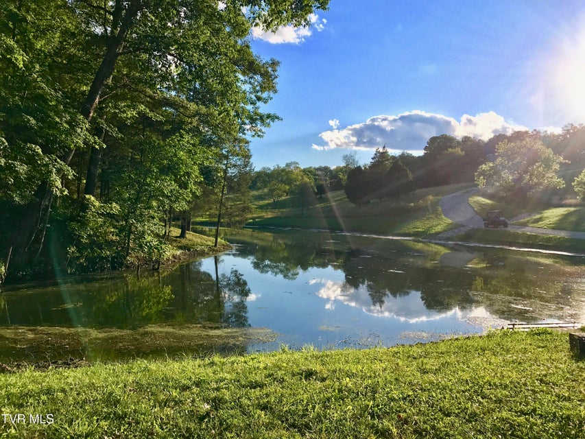 Photo #17: 1399 Highway 75 