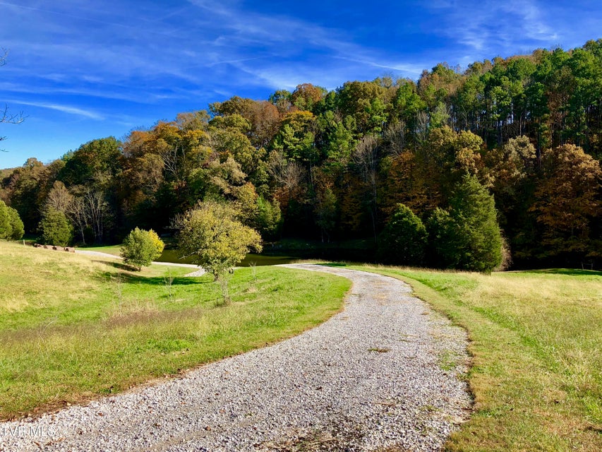 Photo #90: 1399 Highway 75 