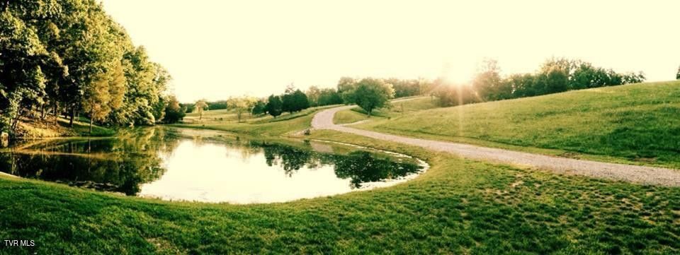 Photo #12: 1399 Highway 75 