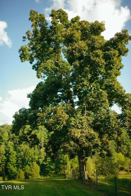 Photo #92: 1399 Highway 75 