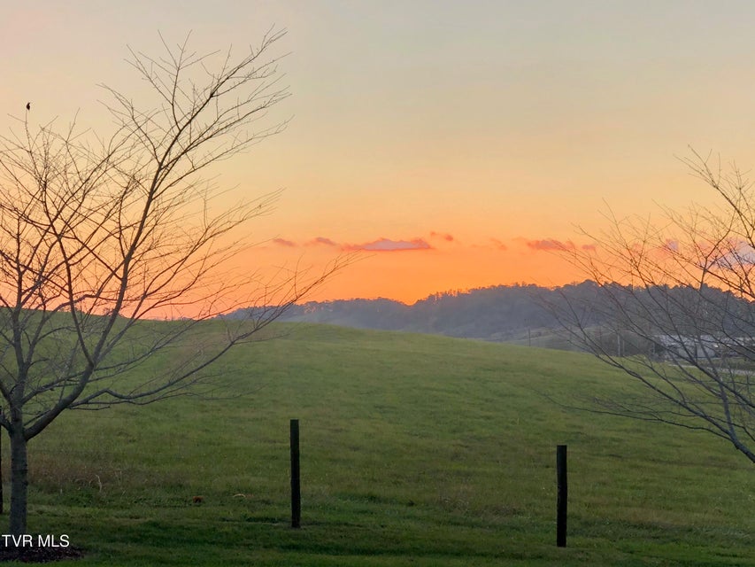 Photo #98: 1399 Highway 75 