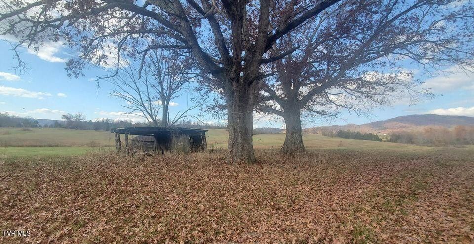 Photo #31: Tbd Brake Tree Lane