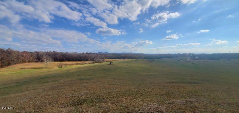 Photo #32: Tbd Brake Tree Lane