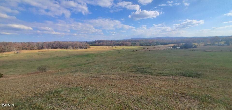 Photo #33: Tbd Brake Tree Lane