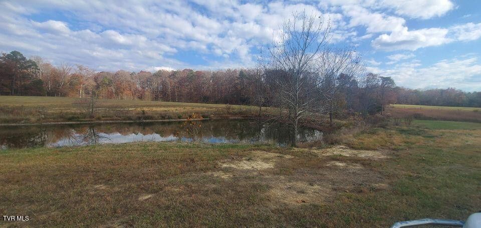 Photo #9: Tbd Brake Tree Lane