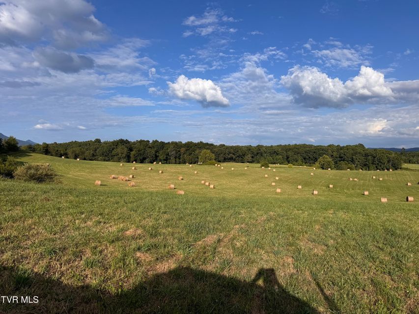 Photo #34: Tbd Brake Tree Lane