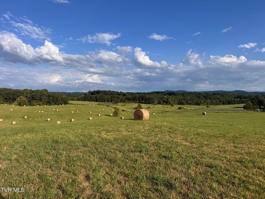 Photo #35: Tbd Brake Tree Lane