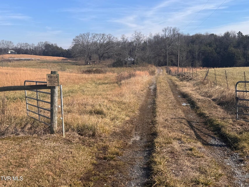 Photo #36: Tbd Brake Tree Lane