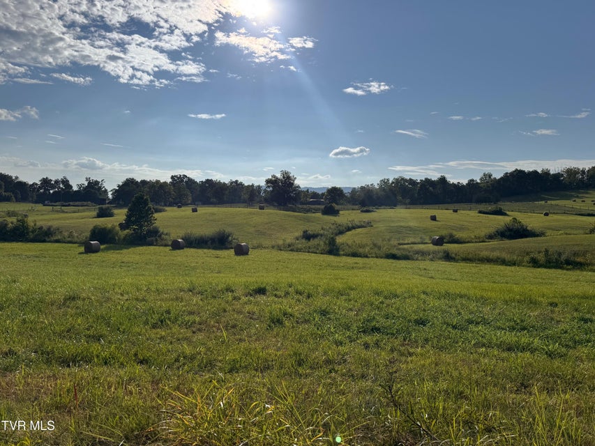 Photo #40: Tbd Brake Tree Lane