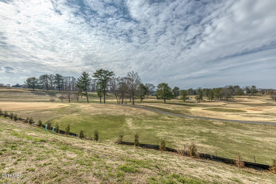 Photo #28: 319 Monroe Drive