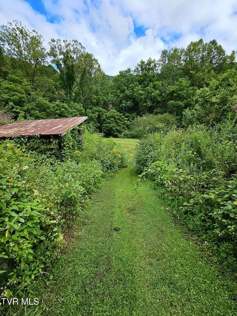 Photo #4: 1206 Irondale Road