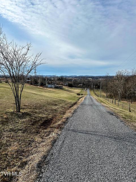 Photo #48: 639 Bailey Bridge Road