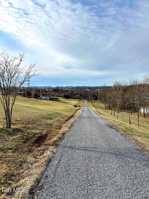 Photo #49: 639 Bailey Bridge Road