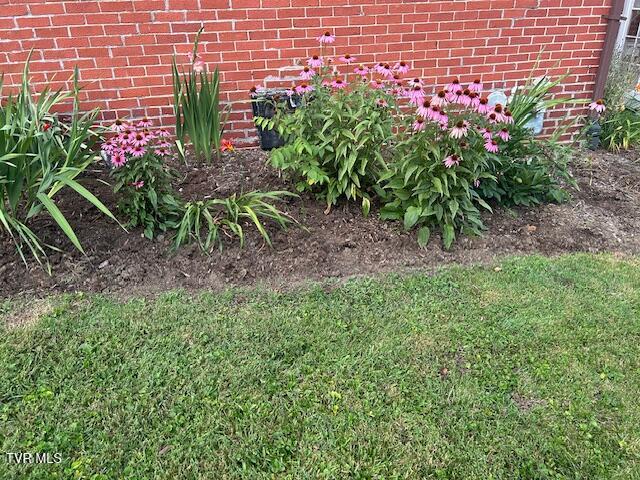 Photo #44: 722 Lawrence Avenue