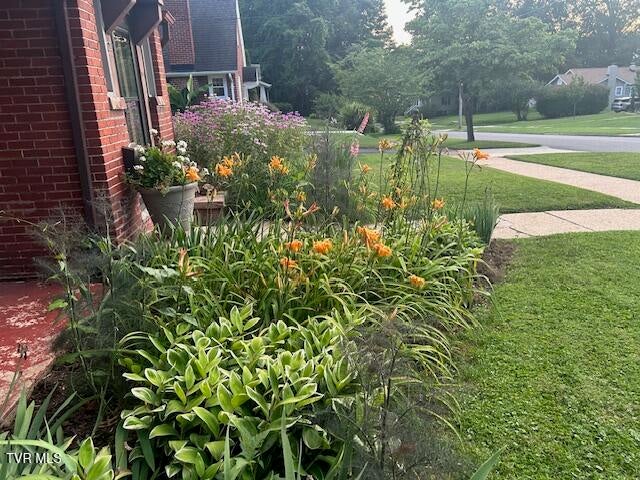 Photo #45: 722 Lawrence Avenue