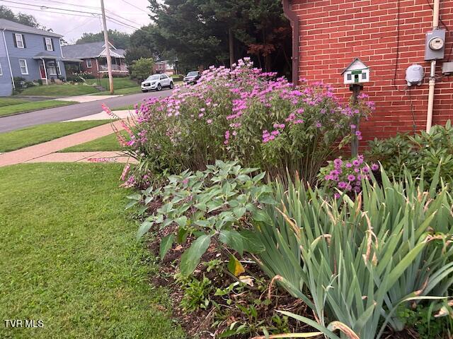 Photo #53: 722 Lawrence Avenue