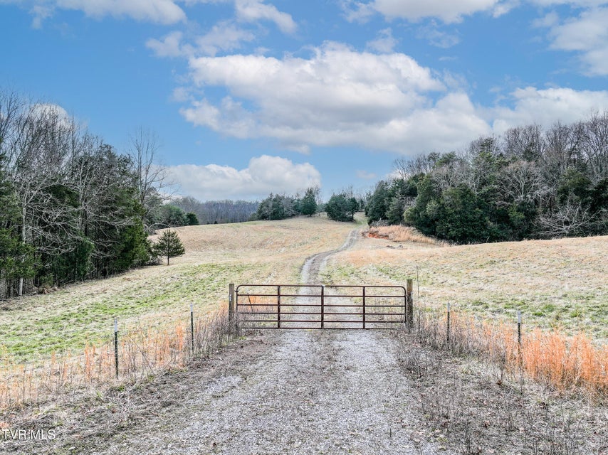 Photo #2: Tbd Pitt Loop