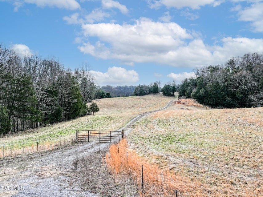 Photo #12: Tbd Pitt Loop