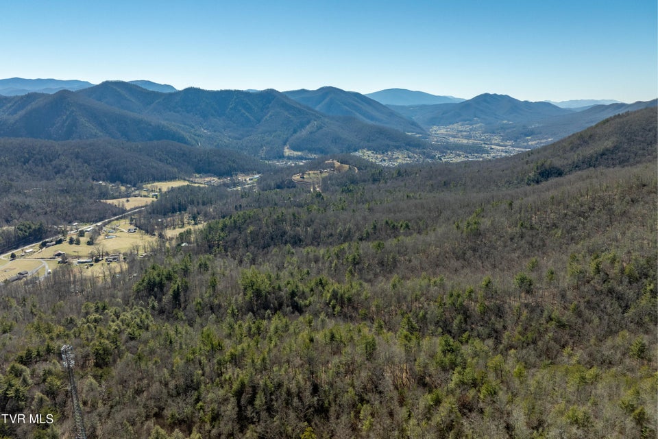 Photo #3: Tbd John Glover Road