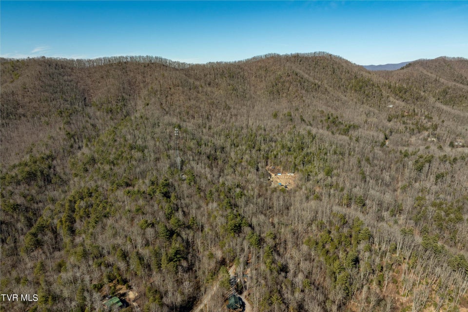 Photo #11: Tbd John Glover Road