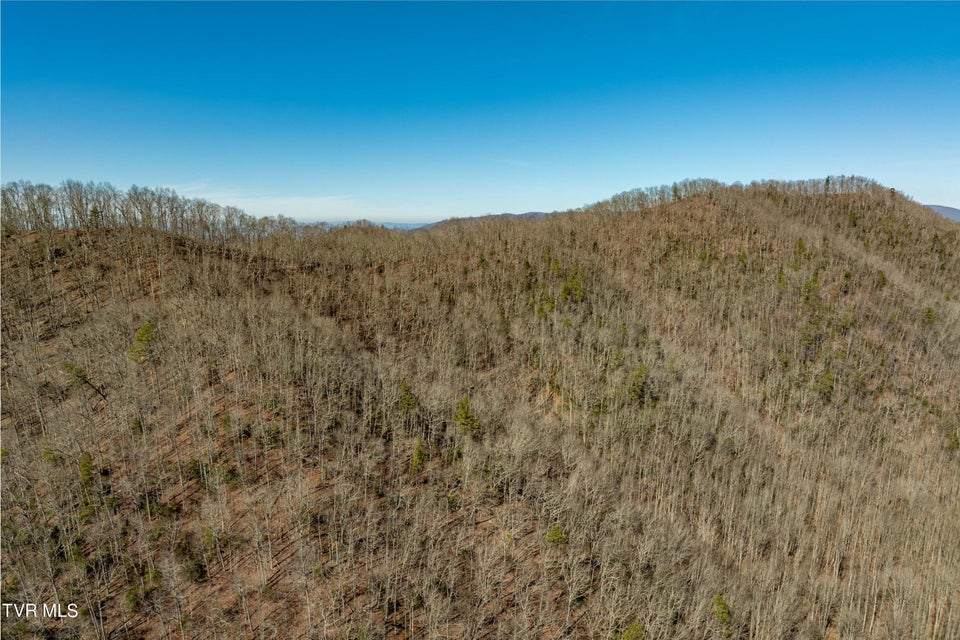 Photo #12: Tbd John Glover Road