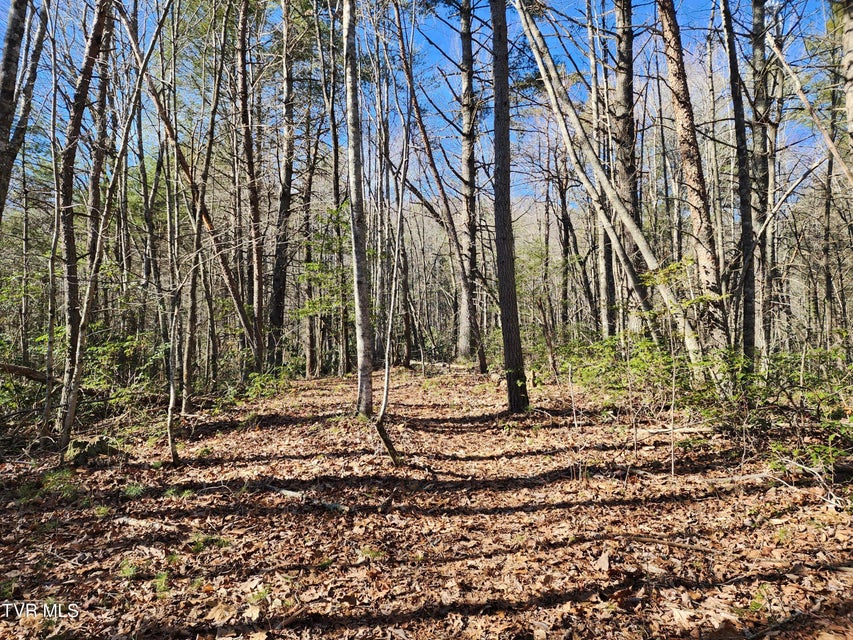 Photo #18: Tbd John Glover Road