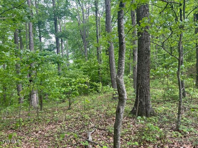 Photo #19: Tbd John Glover Road