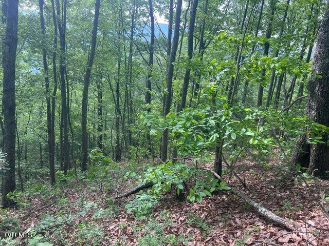 Photo #20: Tbd John Glover Road