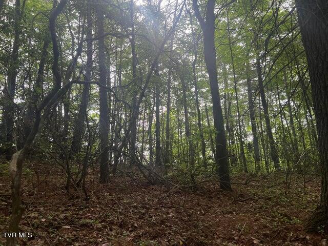 Photo #21: Tbd John Glover Road