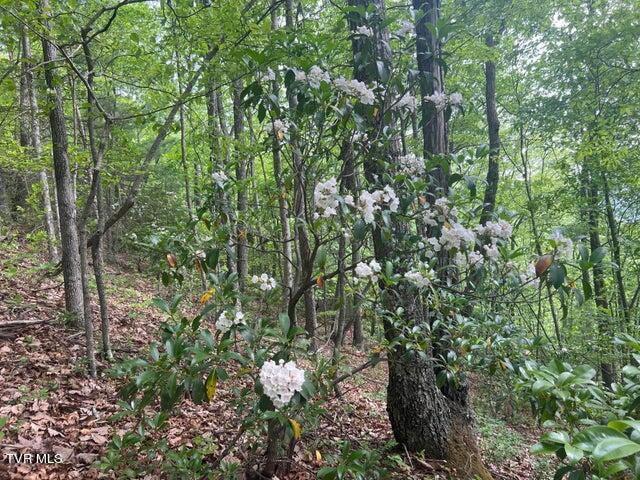 Photo #22: Tbd John Glover Road