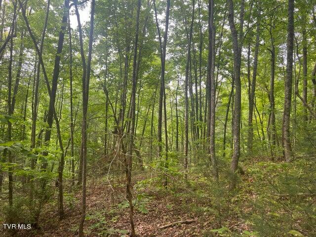 Photo #23: Tbd John Glover Road