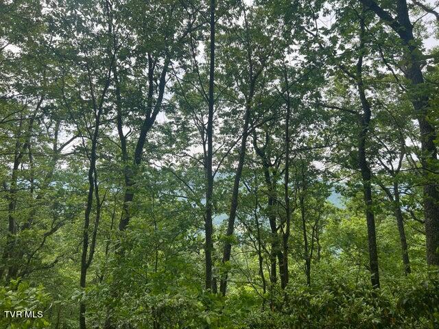 Photo #24: Tbd John Glover Road