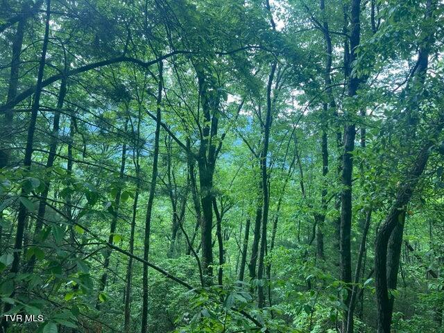 Photo #26: Tbd John Glover Road