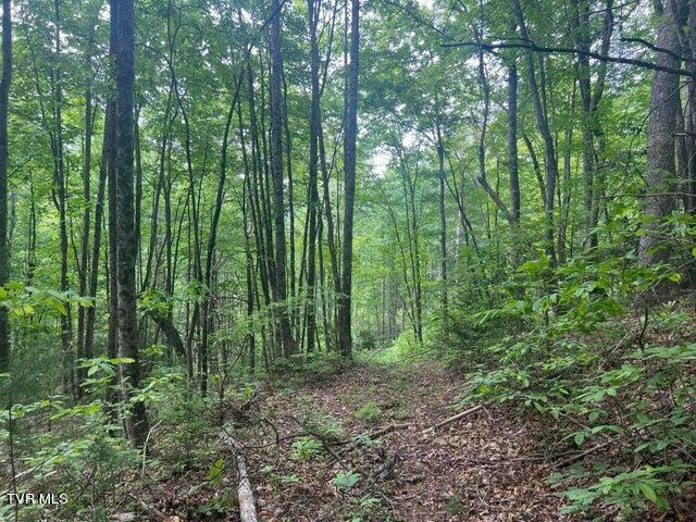 Photo #28: Tbd John Glover Road